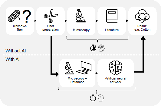 Steps during the fiber analysis process