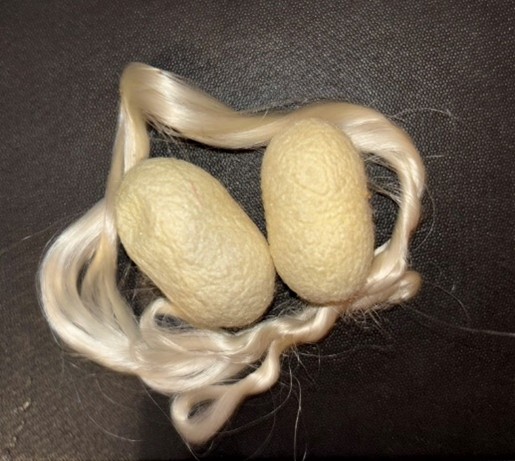 Image with two silk cocoons and long silk fibers