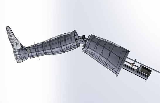 CAD construction of the leg testing system with visible different its layers