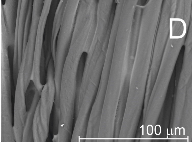Cotton sample after application of Rhodamine B with 3 wt-% solved in pure iSys HPX